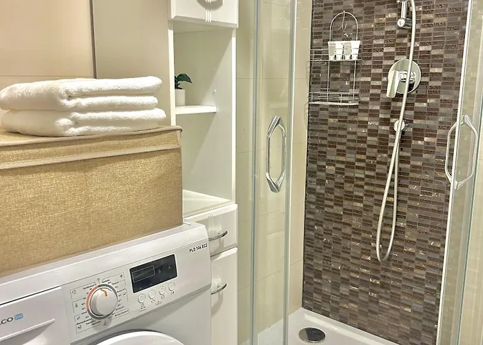 Homely Nook Centre Daire Prag